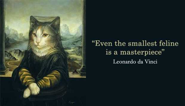 3da0883c017d36ca11e8e3a5fdbc4b52